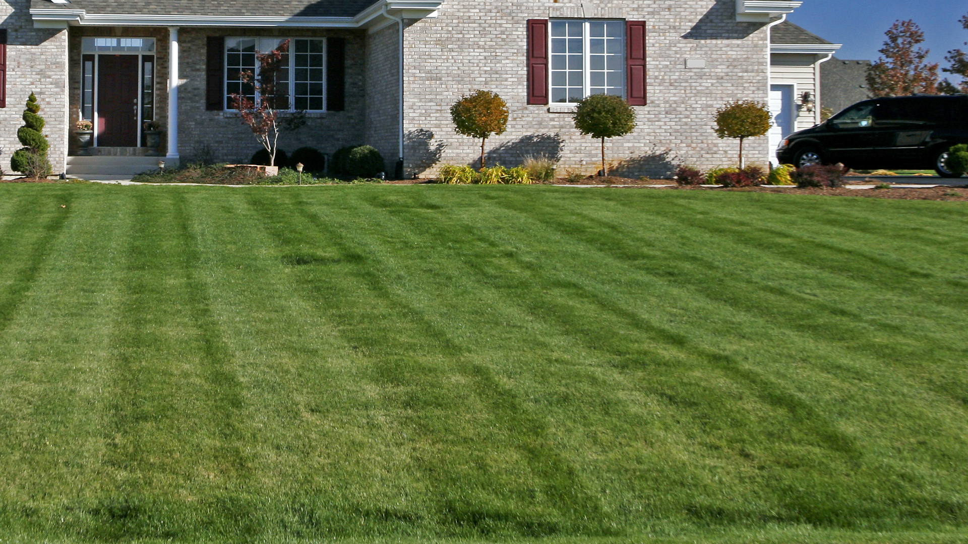What To Do In The Spring Time To Prepare Your Yard For Success what-to-do-in-the-spring-time-to-prepare-your-yard-for-success